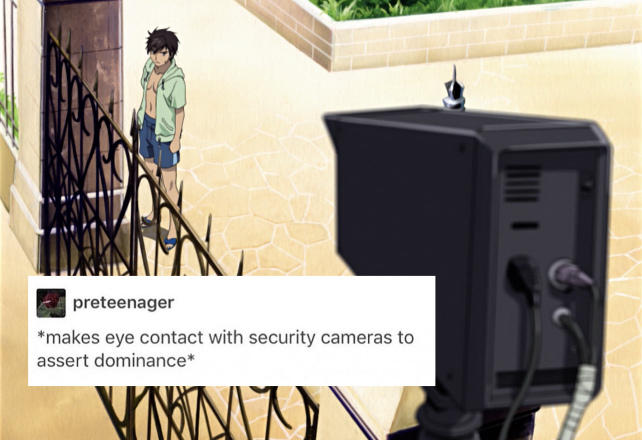 makes eye contact with security cameras to assert dominance